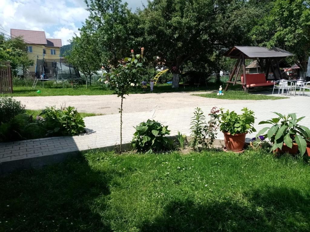 Casa Cornelia Hotel Бран Екстериор снимка