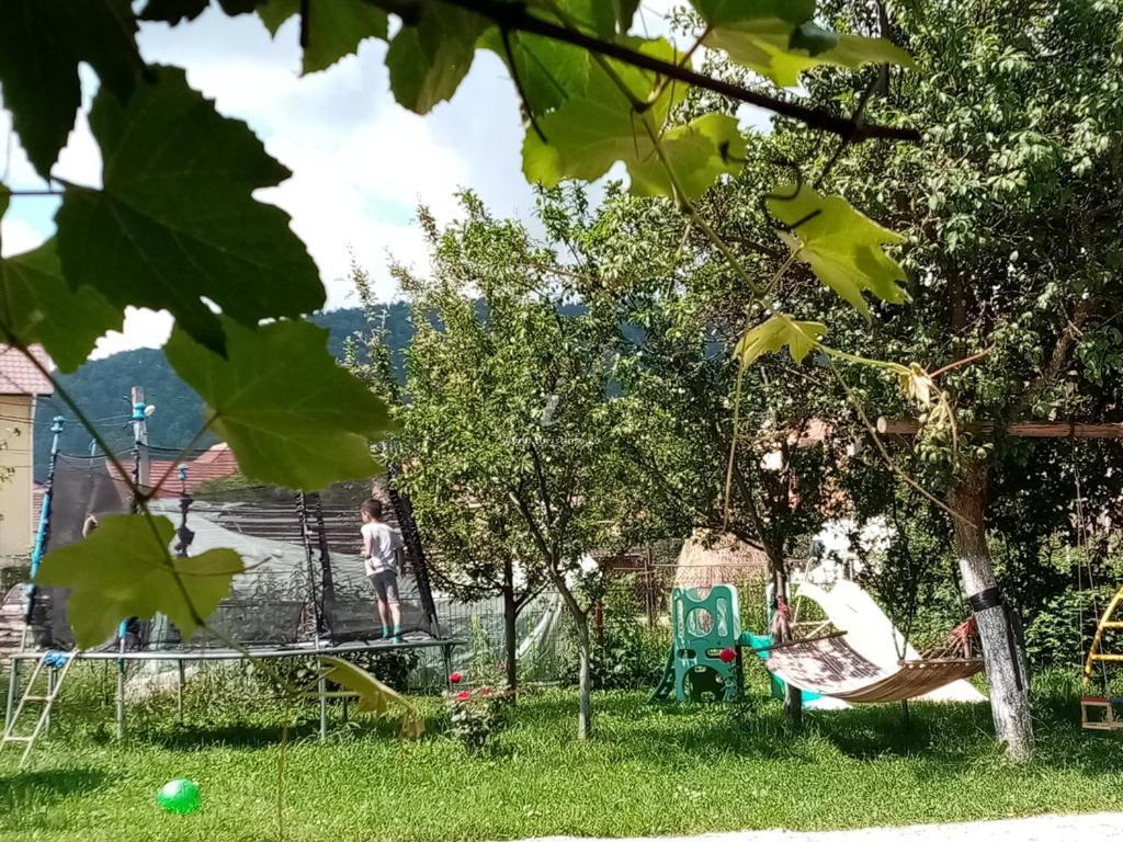 Casa Cornelia Hotel Бран Екстериор снимка