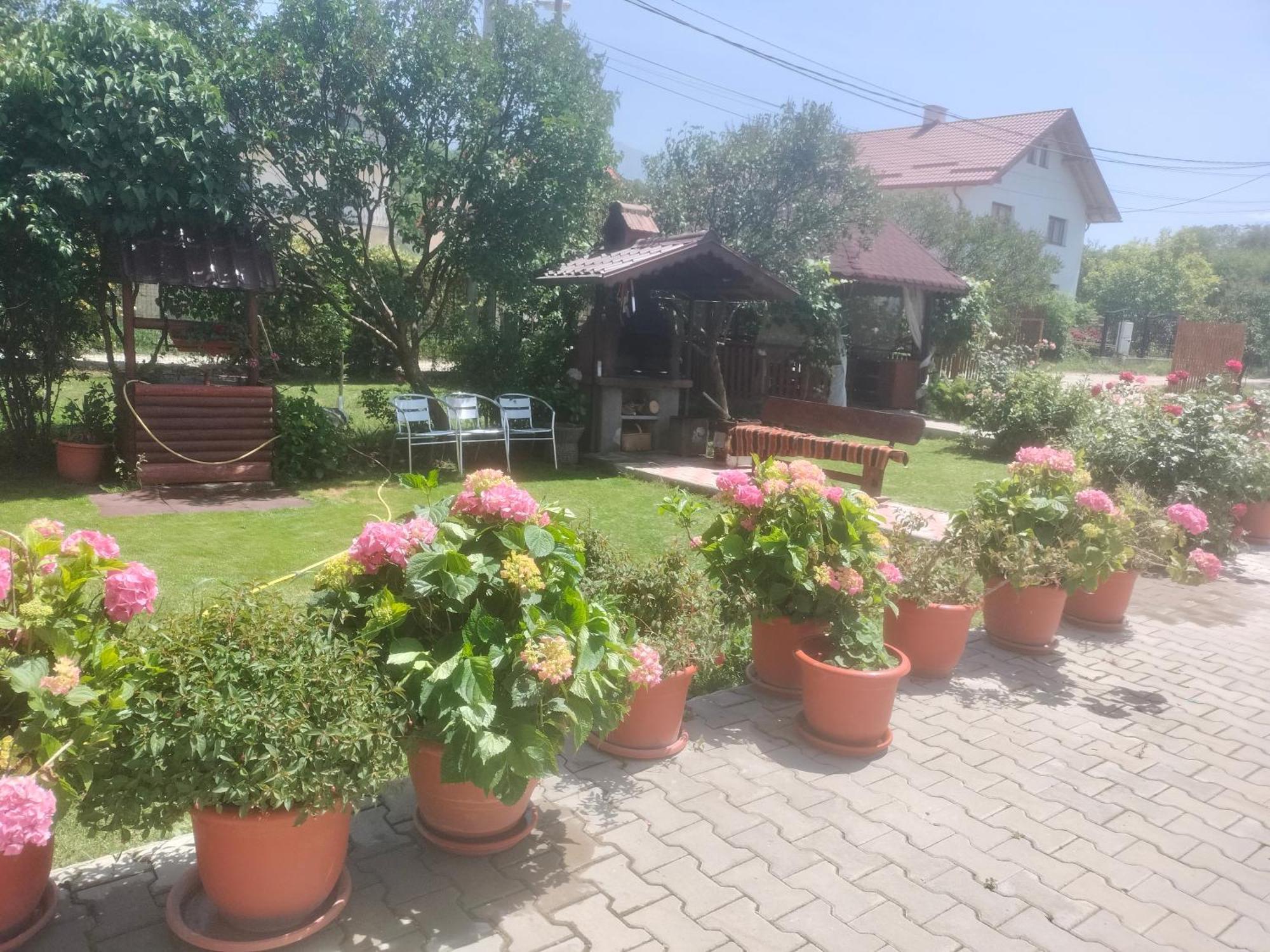 Casa Cornelia Hotel Бран Екстериор снимка